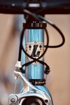 Litespeed Bella photo