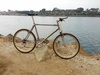 Litespeed mountain bike photo