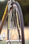 Litespeed Palmares photo