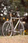 Litespeed Palmares photo