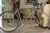 Litespeed Siena_Max T_7 photo