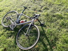 Litespeed T2 Icon Campy 11 Super Record photo