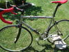 Litespeed Teramo photo