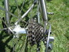 Litespeed Teramo photo