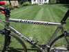 Litespeed Teramo photo