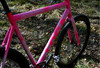 Loca Bike Fixed Gear Tracklocross FGCX photo