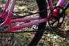 Loca Bike Fixed Gear Tracklocross FGCX photo