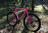 Loca Bike Fixed Gear Tracklocross FGCX photo