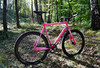 Loca Bike Fixed Gear Tracklocross FGCX photo