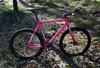 Loca Bike Fixed Gear Tracklocross FGCX photo