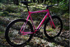 Loca Bike Fixed Gear Tracklocross FGCX photo