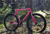 Loca Bike Fixed Gear Tracklocross FGCX photo