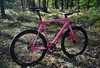 Loca Bike Fixed Gear Tracklocross FGCX photo