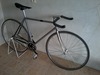 Lokal Fixed Gear photo