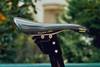 Lotus 110 1995 photo