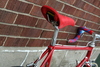 Lovell #11 Blue Red photo