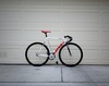 LOW// photo