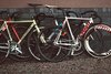 LOW// Bicycles photo