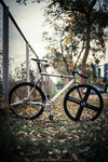 LOW Bicycles Pursuit // Thailand photo