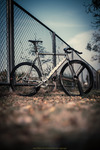 LOW Bicycles Pursuit // Thailand photo