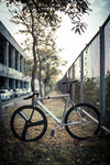 LOW Bicycles Pursuit // Thailand photo