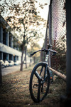 LOW Bicycles Pursuit // Thailand photo