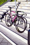 LOW// Track Pursuit 55cm photo