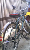 lowrider cruiser photo