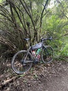 Lynskey GR300 photo