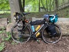 Lynskey GR300 photo
