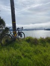 Lynskey GR300 photo