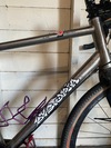 Lynskey GR300 photo