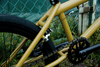 Macneil Garry Young Custom bike photo