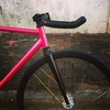 Pursuit Hot Pink Ave Maldea photo