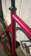 Pursuit Hot Pink Ave Maldea photo