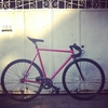 Pursuit Hot Pink Ave Maldea photo