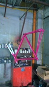 Pursuit Hot Pink Ave Maldea photo