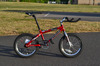 Magna Mini-Bike photo