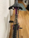 Magni Titanized MTB photo