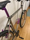 Magni Titanized MTB photo