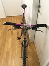 Magni Titanized MTB photo