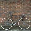 Makino NJS Kenta Special - Rainbow Flake photo