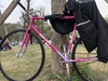 Makino mega pista NJS pink photo