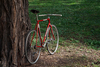 Makino NJS [Currently on sale] photo