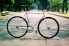 Pink fade Makino NJS photo