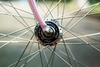 Pink fade Makino NJS photo