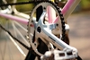 Pink fade Makino NJS photo