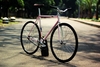 Pink fade Makino NJS photo