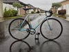 Makino NJS Blue Silver Rainbow flake photo