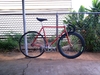 Makino Track NJS Gold Flaked photo